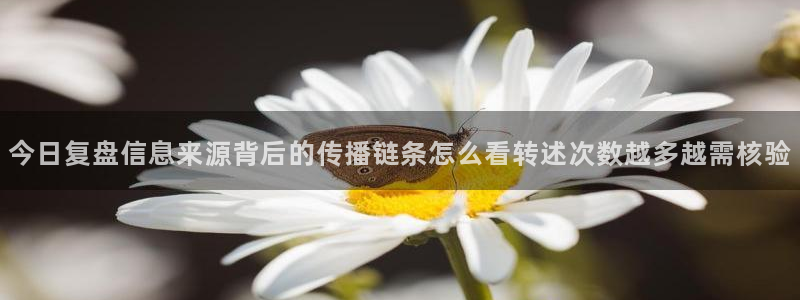 91吃瓜在线观看入口导航