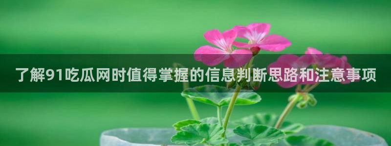 91吃瓜在线观看首页入口