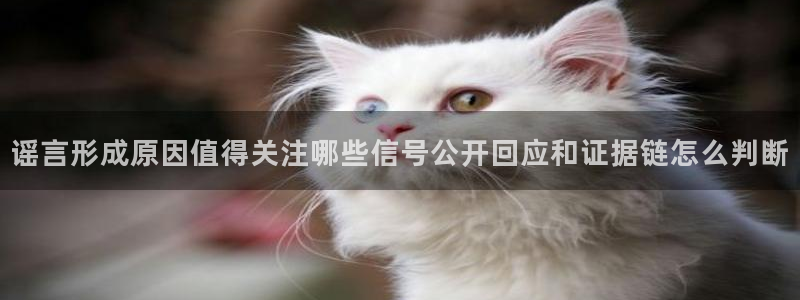 吃瓜每日热点