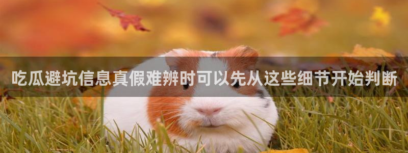 吃瓜在线观看