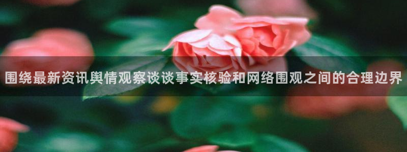 吃瓜网络热点