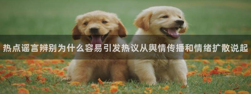 91吃瓜在线观看网站入口